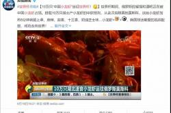 潜江市人民政府与中国小龙虾协会和天猫生鲜联合出手